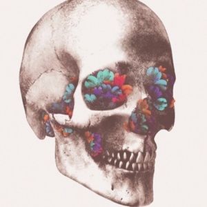 Meet your Posher, Piper